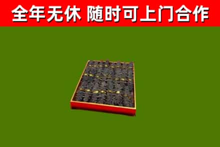 成都市回收海参